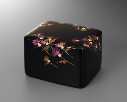 中野孝一（なかの こういち）