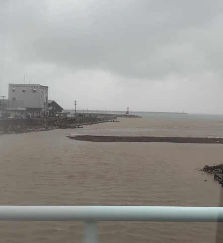 みなと橋 河口付近にて。